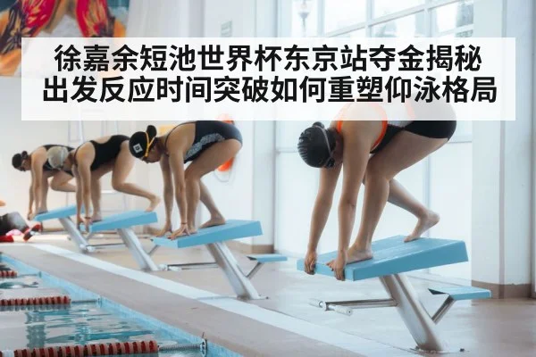 swimmer starting block
