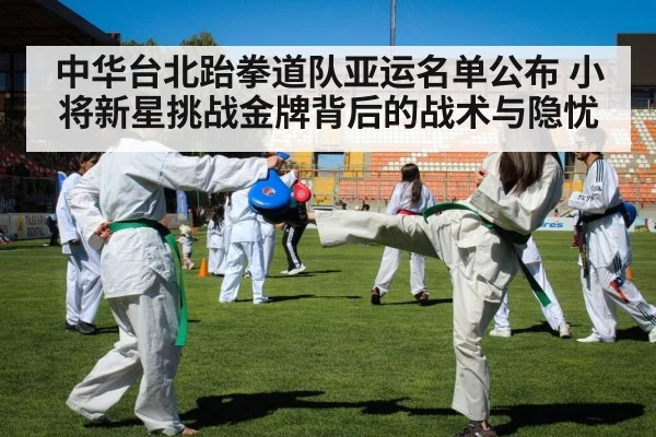 taekwondo competition kick